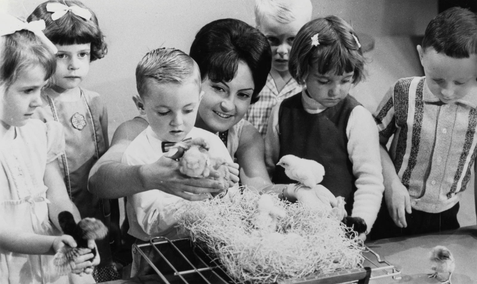 A group of small children standing around a seated young woman looking at baby chickens.
