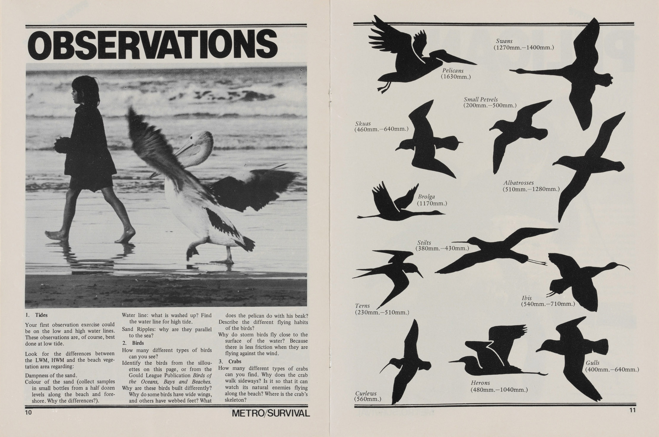 Black and white cover of the Ocean Studies guide to Storm Boy. Features image of Storm Boy (Greg Rowe) in silhouette walking along the beach with Mr Percival the pelican following after him 