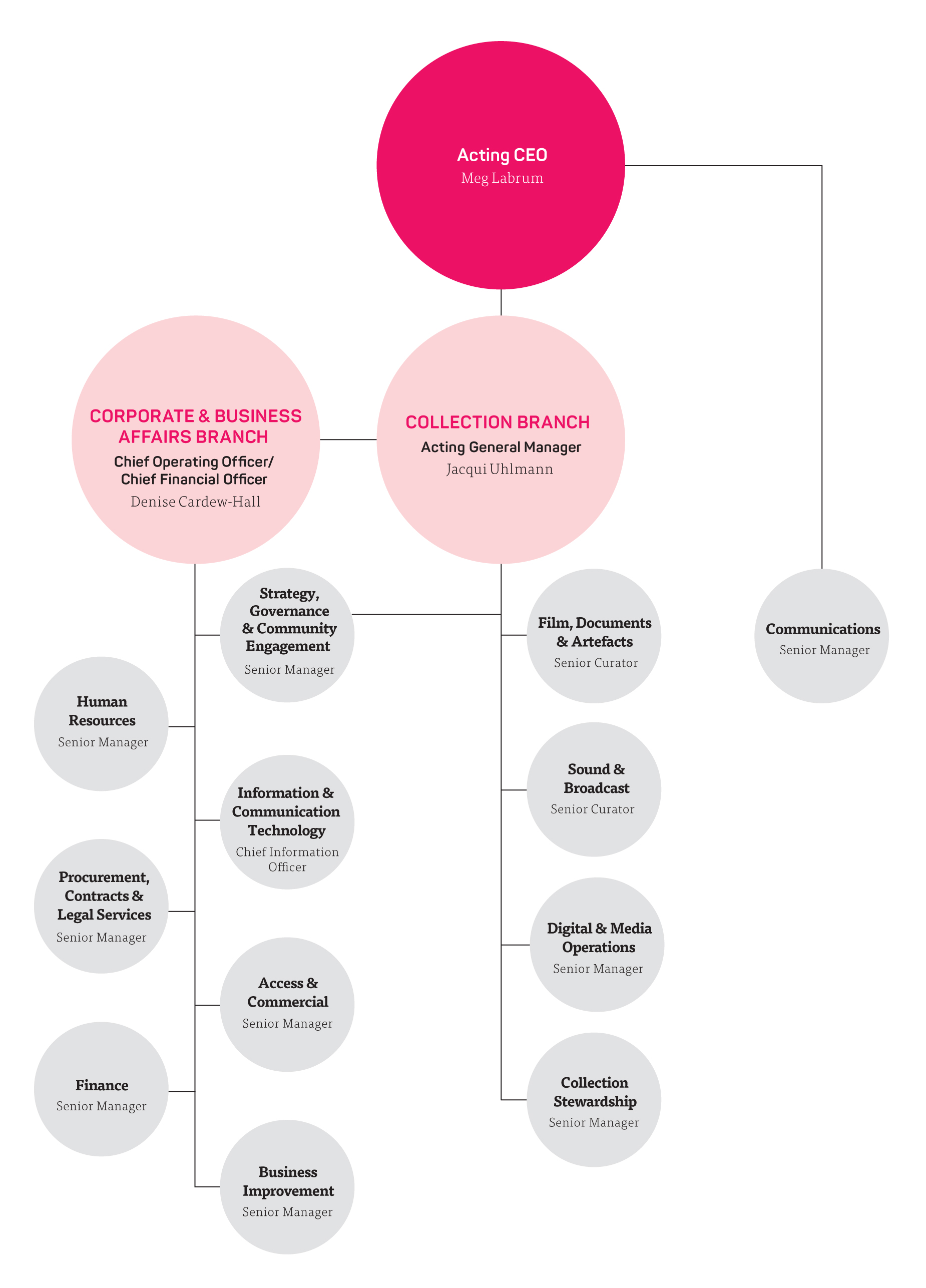 NFSA Organisation Chart