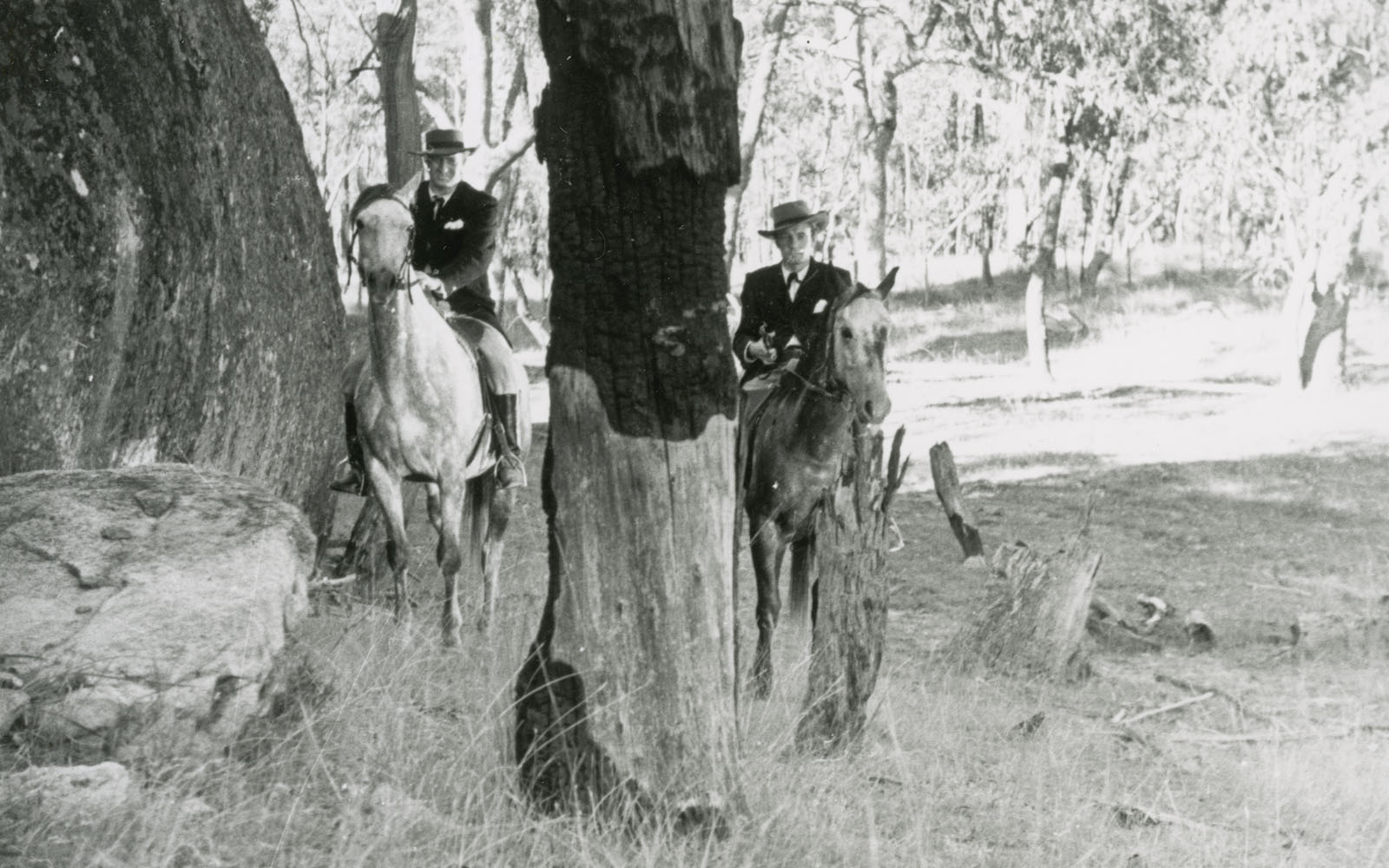 Two men on horseback riding in the bush between a group of trees
