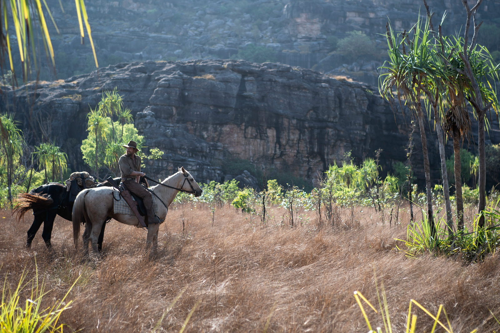 A man with two horses in the bush with a large rock formation in the background.