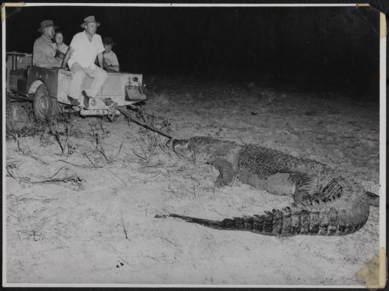 Two men are wrangling a crocodile on a film set.