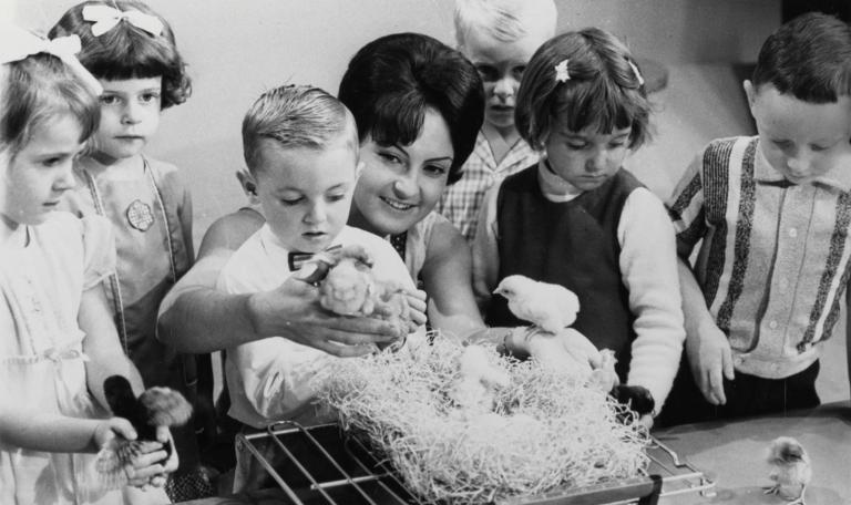 A group of small children standing around a seated young woman looking at baby chickens.