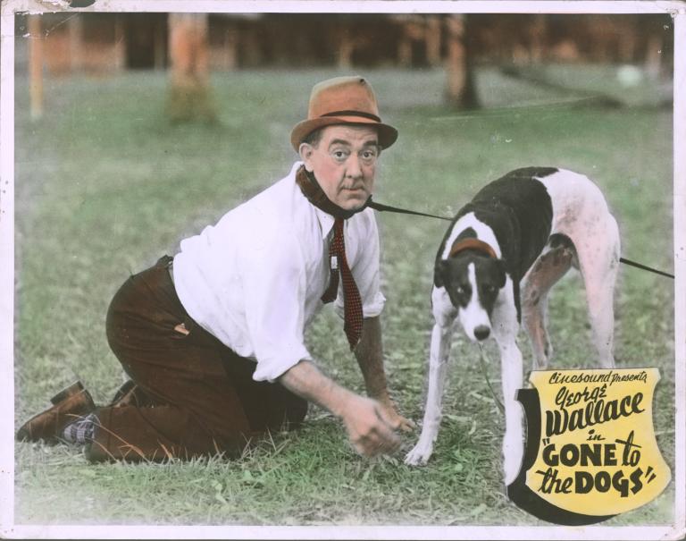 Lobby card from film Gone with the Dogs showing actor George Wallace kneeling beside a Greyhound dog, both Wallace and the dog are joined by a leash.