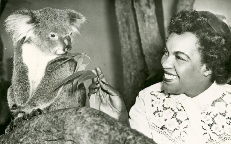 Australian Animals | National Film and Sound Archive of Australia Australian Animals | National Film and Sound Archive of Australia