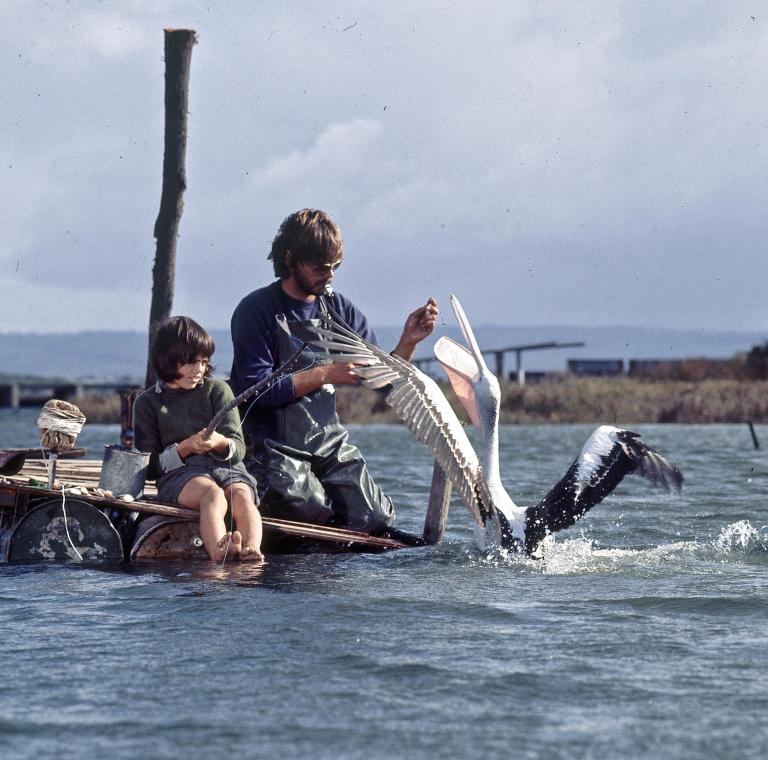 Greg Rowe as Storm Boy looking on nervously as pelican trainer Gordon Noble feeds Mr Percival the pelican on the set of Storm Boy