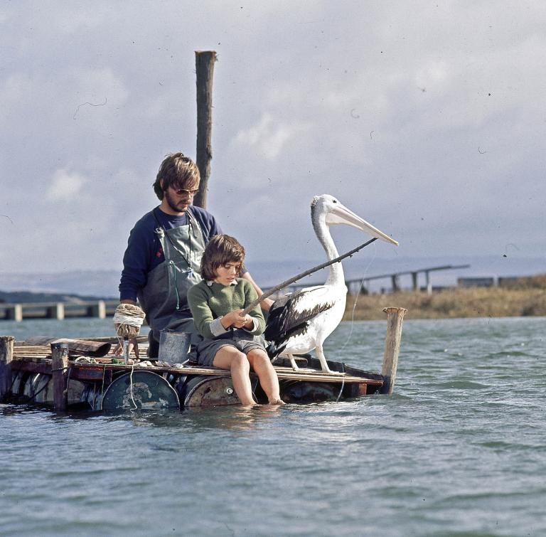 Storm Boy - Greg Rowe, Gordon Noble and pelican production still Production still from the set of Storm Boy showing pelican trainer Gordon Noble, Greg Rowe (Storm Boy) and pelican all sitting on a pier near the water