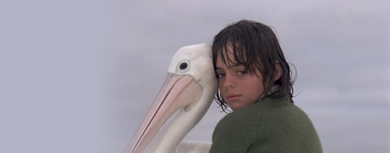 Greg Rowe as Storm Boy resting his head against Mr Percival the pelican's head as he prepares to set the pelicans free