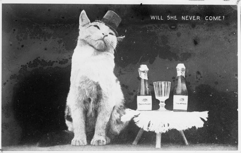 George O'Malley Will She Never Come glass slide Cat wearing a top hat and sitting next to a small table with champagne bottles and glasses on top. Text on image reads 'Will she never come?'