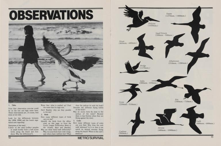 Black and white cover of the Ocean Studies guide to Storm Boy. Features image of Storm Boy (Greg Rowe) in silhouette walking along the beach with Mr Percival the pelican following after him 
