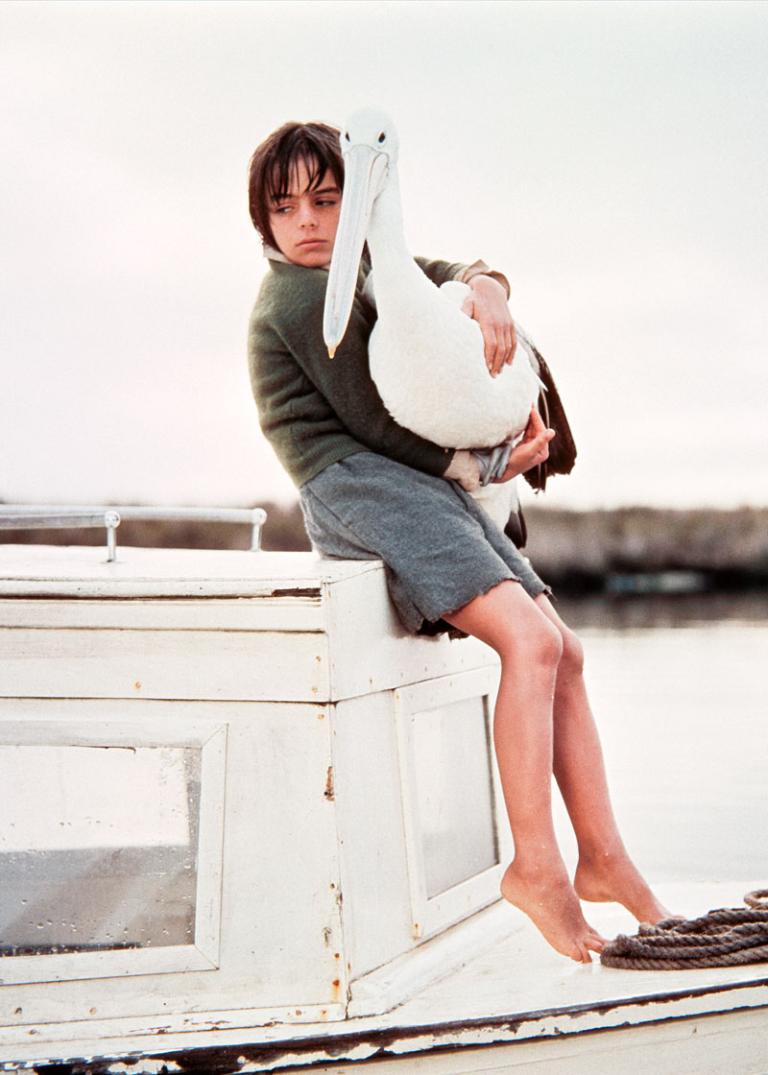 Greg Rowe as Storm Boy holds Mr Percival the pelican as they sit on a boat together. Greg looks very sad.
