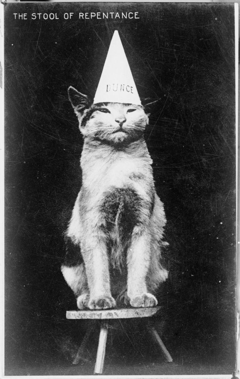 The Stool of Repentance vintage cat glass slide Cat sitting on a stool wearing a dunce hat.