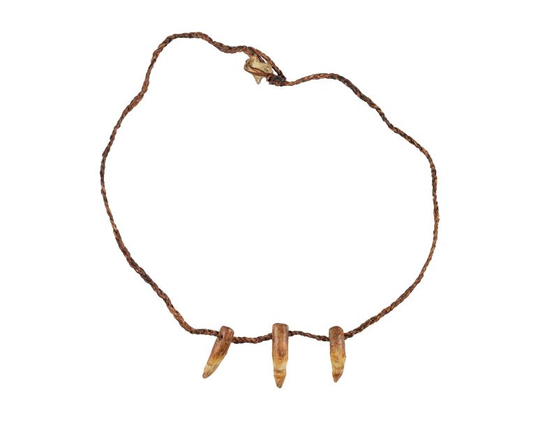 a simple necklace with three crocodile teeth