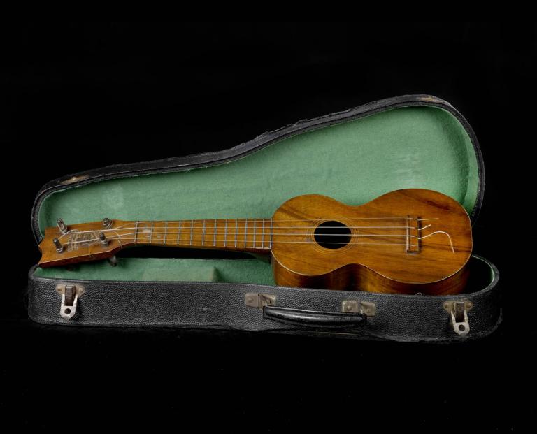 A photo of a ukelele in its case. 
