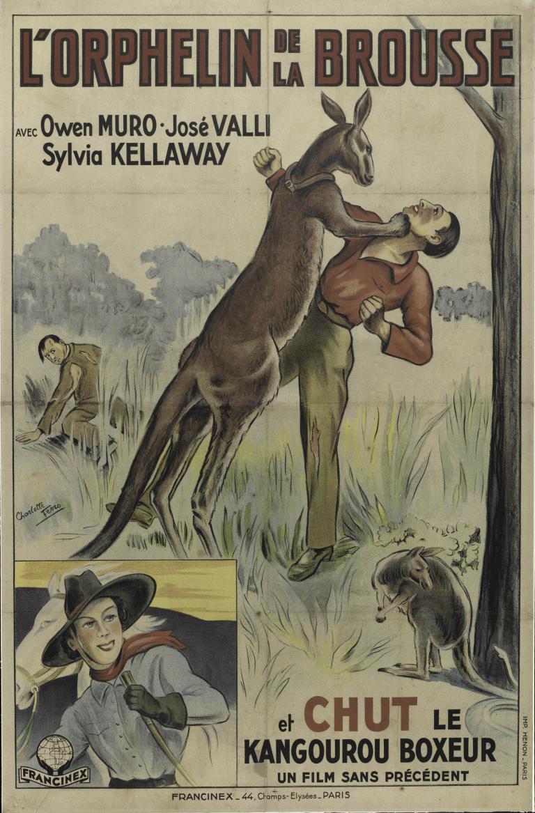 Vintage poster of 1936 film 'L'Orphelin de la Brousse' featuring a man confronting a kangaroo