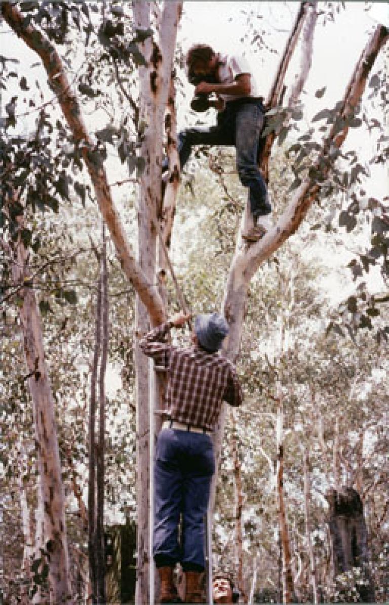 John Hutchinson National Film and Sound Archive of Australia