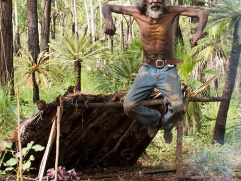 An older David Gulpilil jumping up in the air in the bush. He's in front of a lean-to shelter.