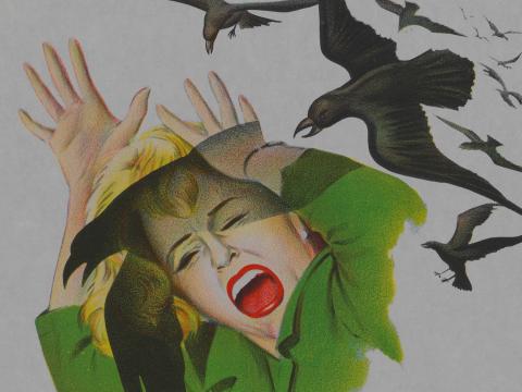 Part of a poster for The Birds showing a woman screaming with black birds circling above her.