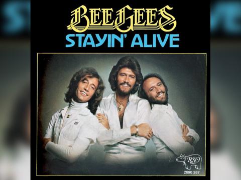 Album cover featuring the band The Bee Gees dressed in white shirts. The words Bee Gees Stayin' Alive is written at the top.