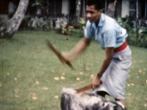 A Fijian man beats a dinner drum with two wooden sticks while standing outside on a lawn in a scene from a 1960s home movie shot by an Australian tourist