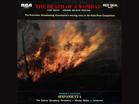 a record sleeve with an image of a raging bushfire against a dark sky. The title reads 'Death of a Wombat'