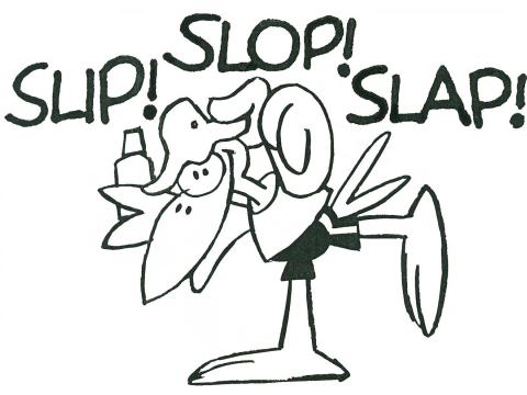 Cartoon drawing of a seagull wearing a hat, t-shirt and shorts and holding a bottle. Writing above him reads SLIP! SLOP! SLAP!