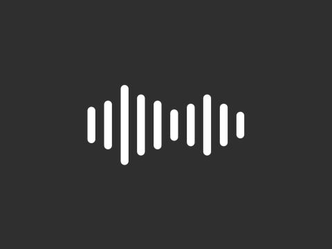 An audio wave form made up of vertical lines, against a dark background
