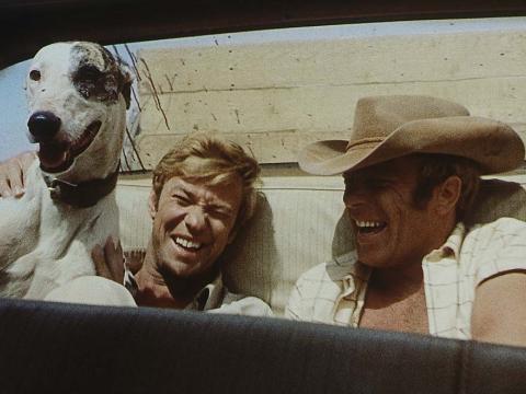 Two men riding in the back of a ute with a dog and laughing