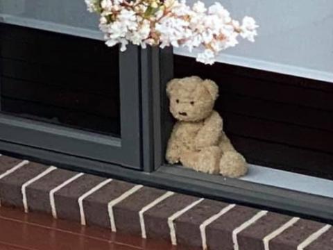 A teddy bear sitting on the window sill inside a house.