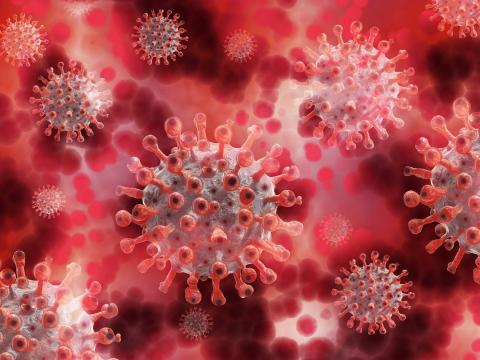 Close up of some coronavirus cells
