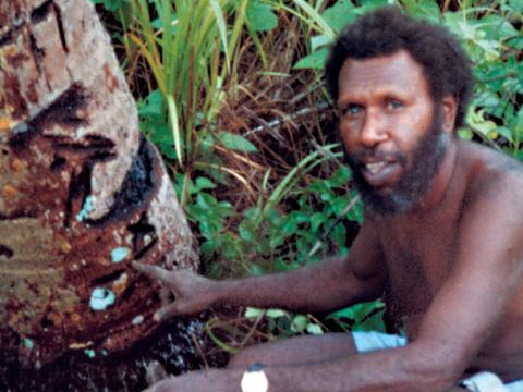 Eddie Mabo crouching next to a tree trunk.