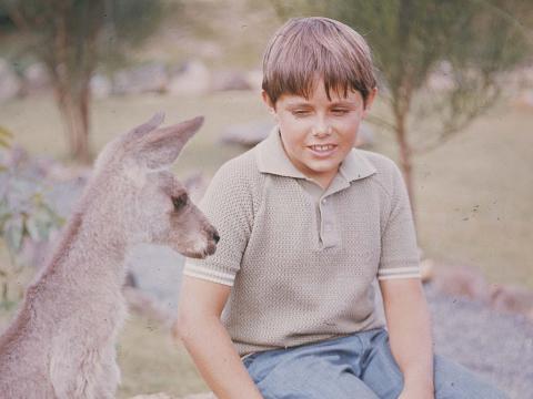 Sonny sits on a rock looking at Skippy the kangaroo