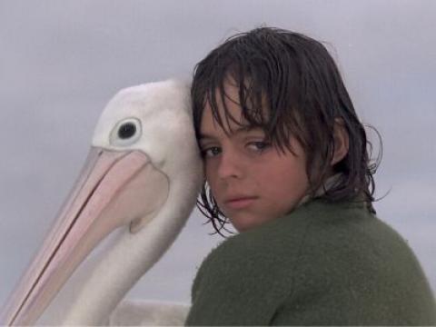 A close-up of Greg Rowe in Storm Boy with his head nestled up to Mr Percival the pelican.