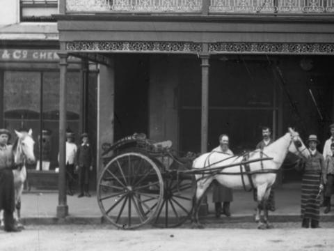 Men and children standing outside the Higgins Butcher in Hobart. Horses and carts stand outside. The building has intricate ironwork decoration. The butcher is wearing a navy and white striped apron.