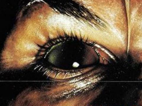 Big close up of an evil looking human eye.