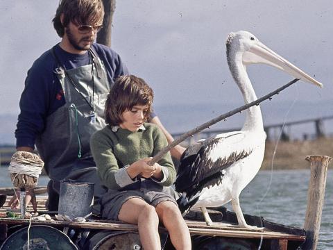 Production still from the set of Storm Boy showing pelican trainer Gordon Noble, Greg Rowe (Storm Boy) and pelican all sitting on a pier near the water
