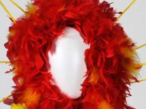 Red and yellow feathered headpiece from 'The Adventures of Priscilla, Queen of the Desert'.