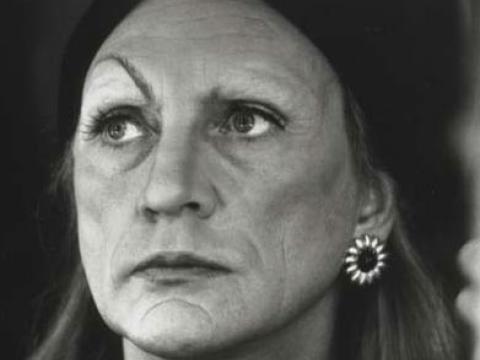 Terence Stamp in Priscilla