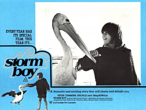 Lobby card featuring a black and white image of Storm Boy (Greg Rowe) tenderly touching Mr Percival the pelican and smiling. There are credits below image and text above title reads: 'every year has its special film, this year it's...' Storm Boy.