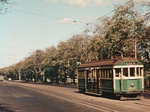 A green tram from the 1950s speeding down a tree-lined street in Melbourne