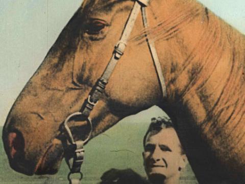 Racehorse Phar Lap poses side-on for his portrait with his trainer Tommy Woodcock standing near by.