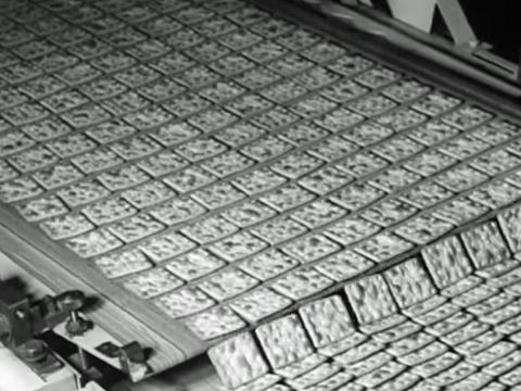 Biscuits on a production line at a biscuit factory