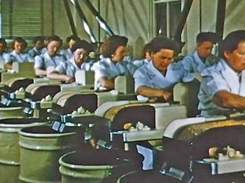 Factory workers in a peanut processing factory