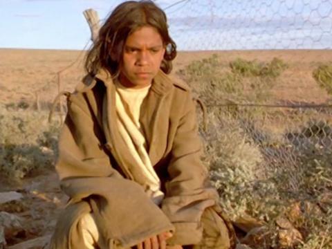 Molly (Everyln Sampi) crouches beside the rabbit-proof fence