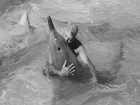 A man in a pool cuddling and kissing a dolphin.