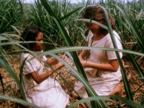 Two young girls sitting and playing in a sugarcane field