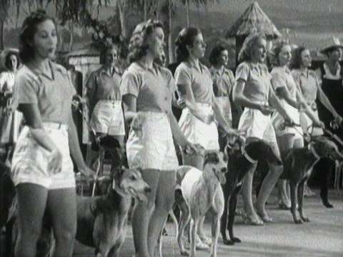 A group of girls with dogs in the musical number featured in this clip