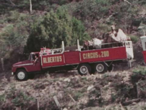 A red circus truck with horses and camels on the back. Lettering reads: Alberto's Circus & Zoo.