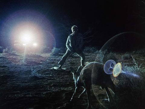 A man faces off against a kangaroo in the outback at night, lit by a car's headlights