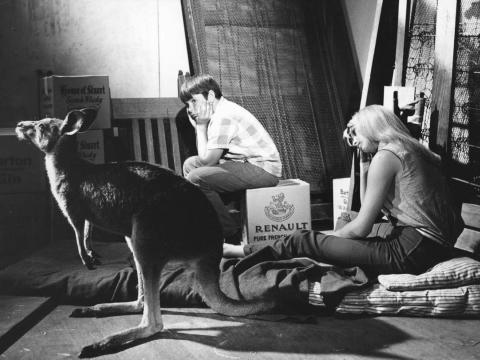 Skippy looks towards a window while Sonny and Clancy sit behind her, looking dejected